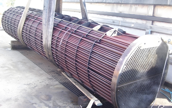 A2 Industrielle Kohlendioxidstripper-Reboiler